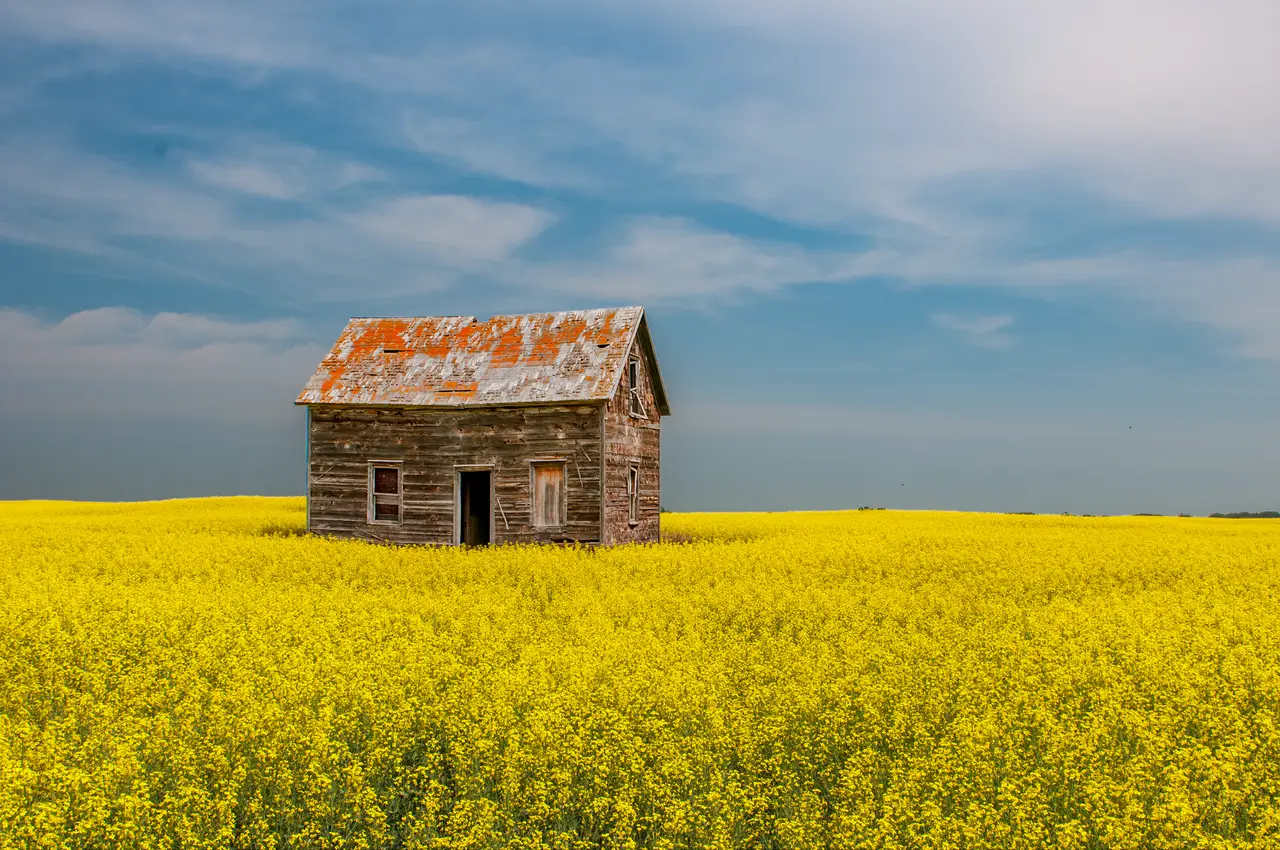 Prairie Town — notices, council records, events and history for ...
