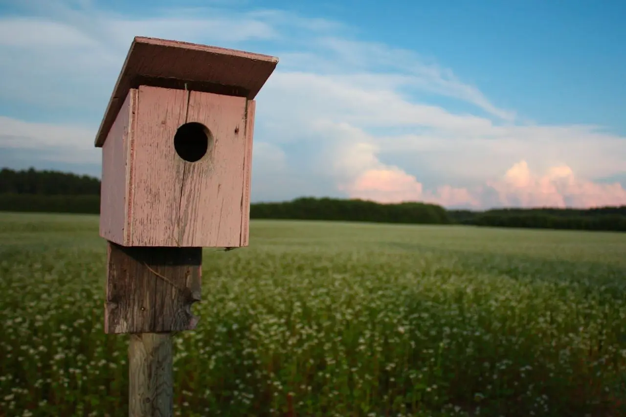 Prairie Town — notices, council records, events and history for ...